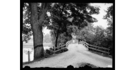 Ky Indentured Servants